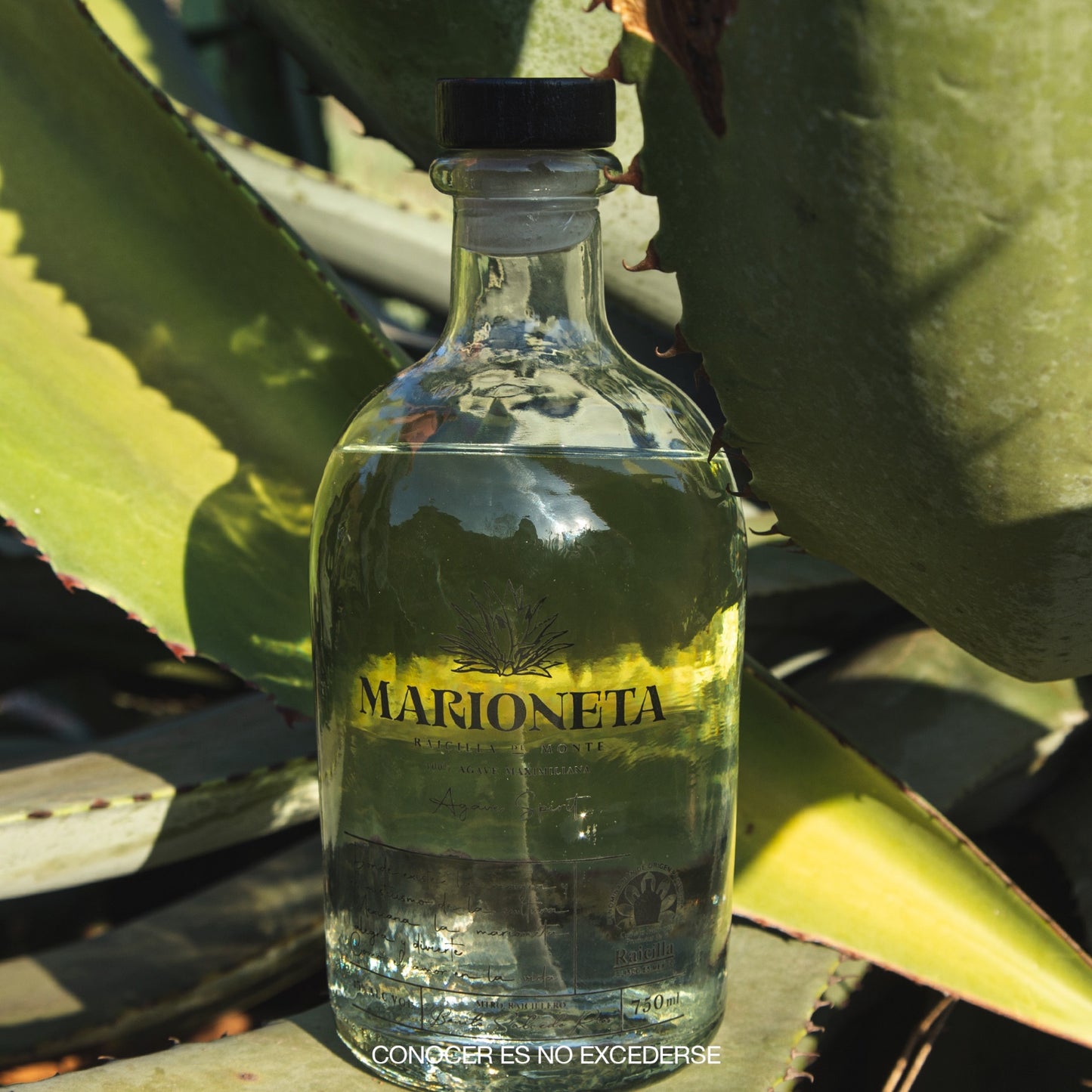 RAICILLA MARIONETA ARTESANAL 750 ML™