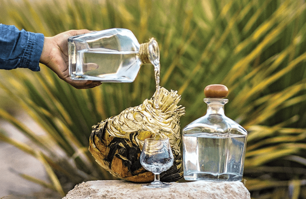 SOTOL
