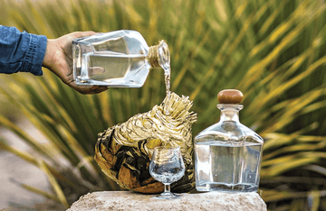 SOTOL