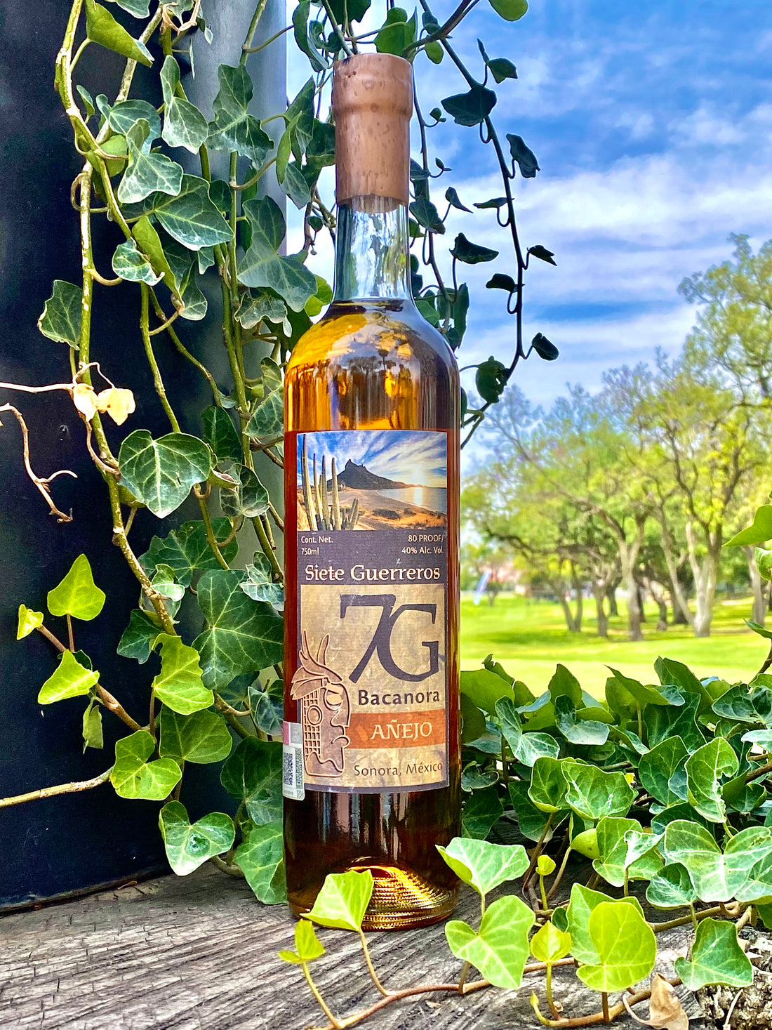 BACANORA SIETE GUERREROS AÑEJO 750 ML™