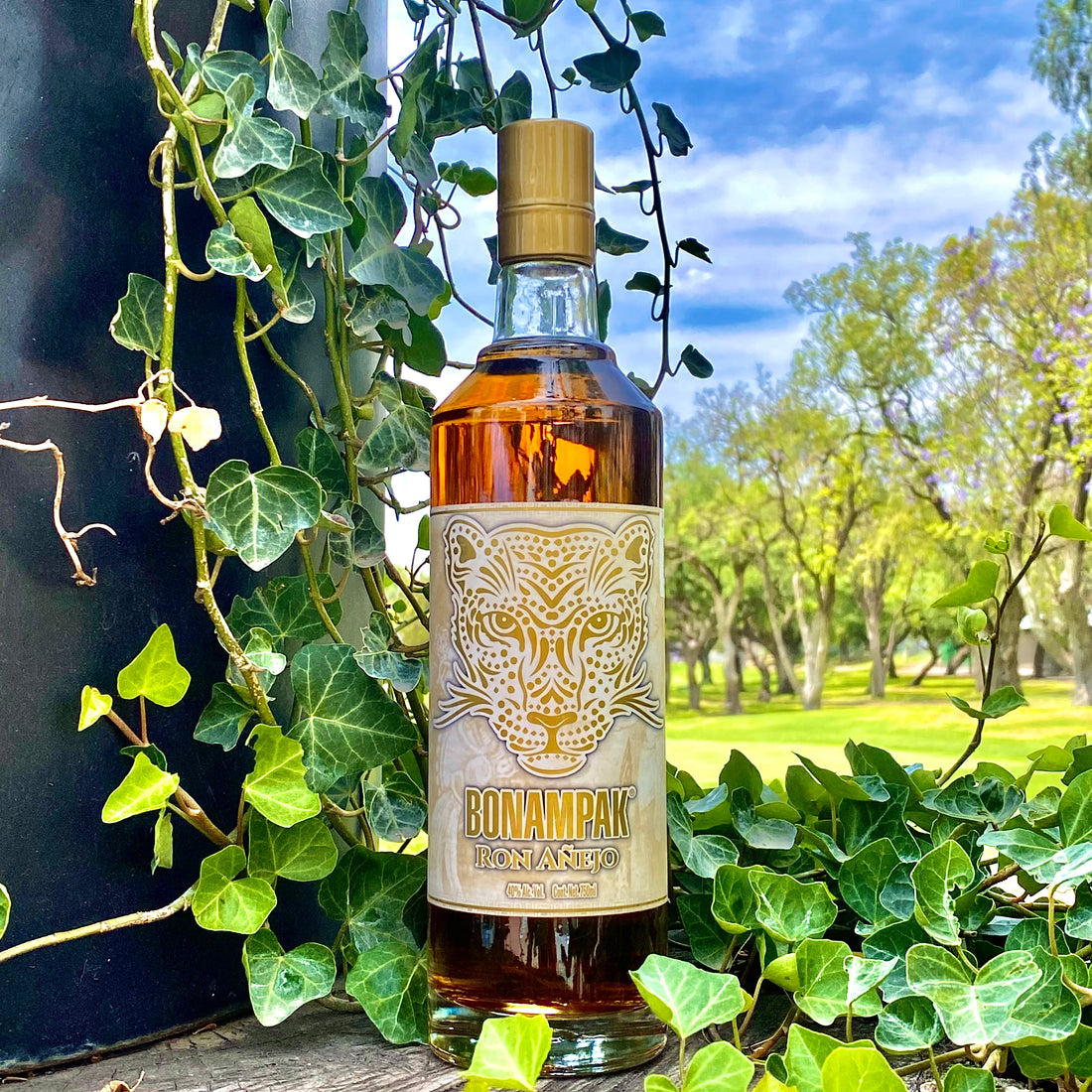 RON BONAMPAK AÑEJO 750 ML™