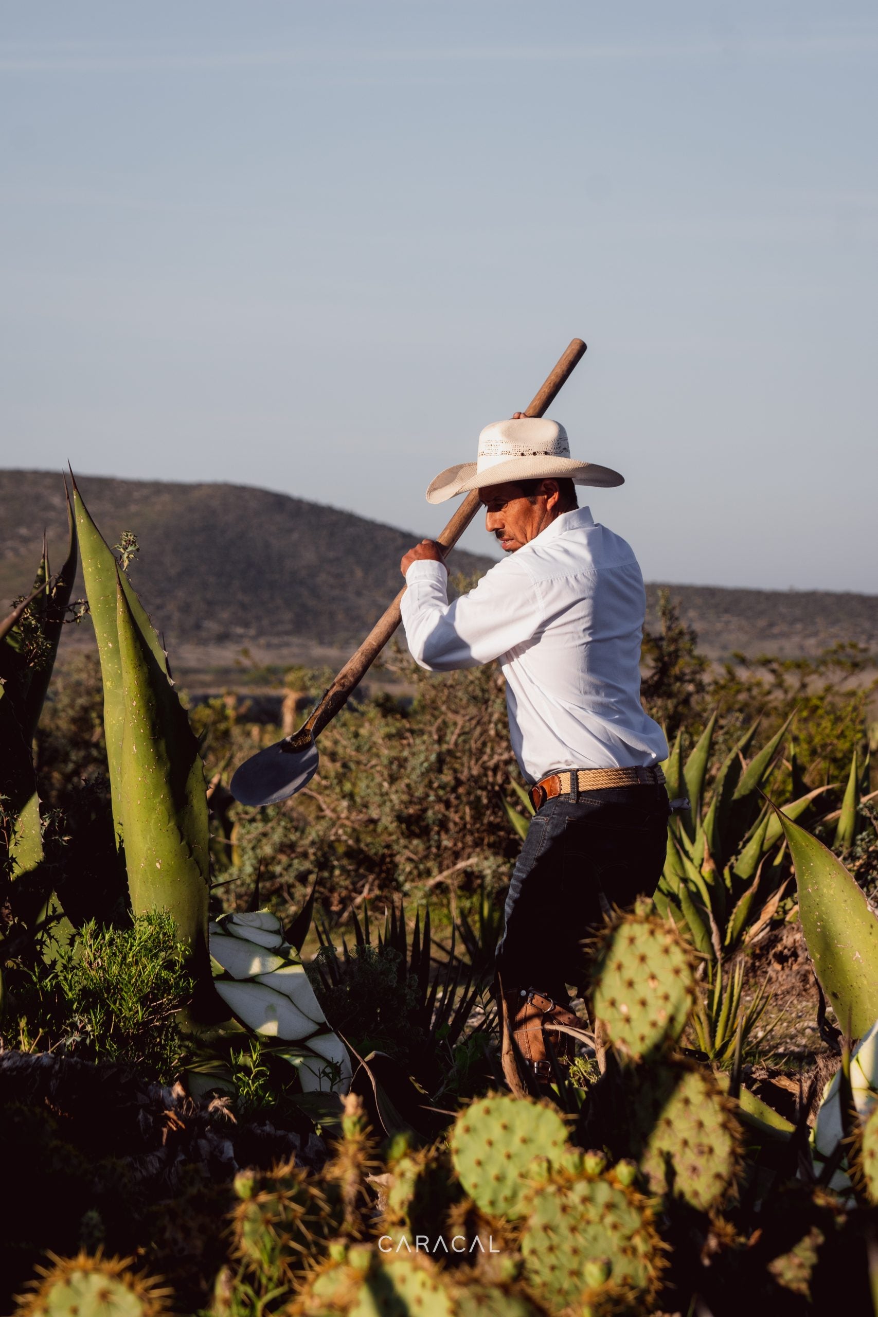 MEZCAL CARACAL 750 ML™