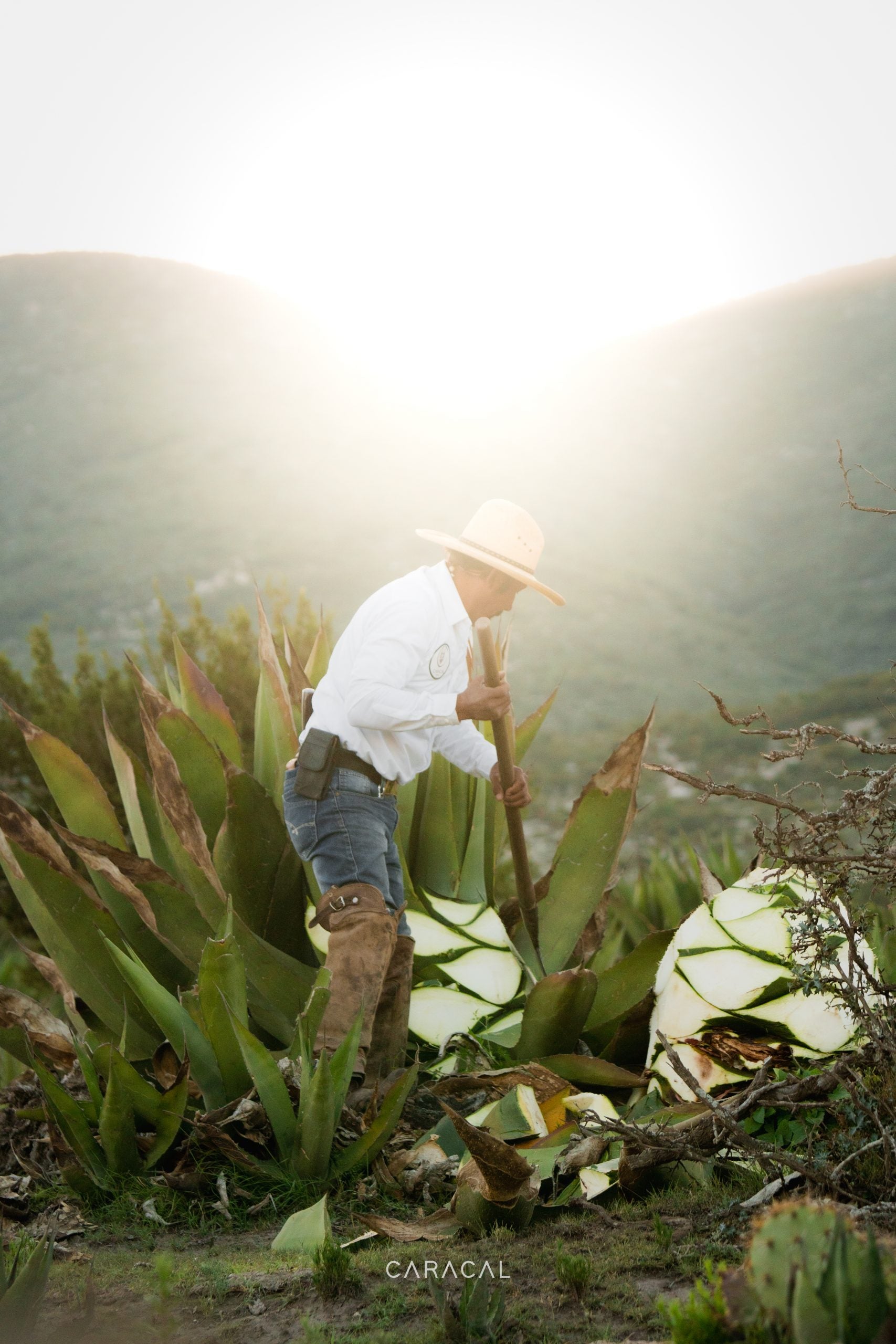 MEZCAL CARACAL 750 ML™