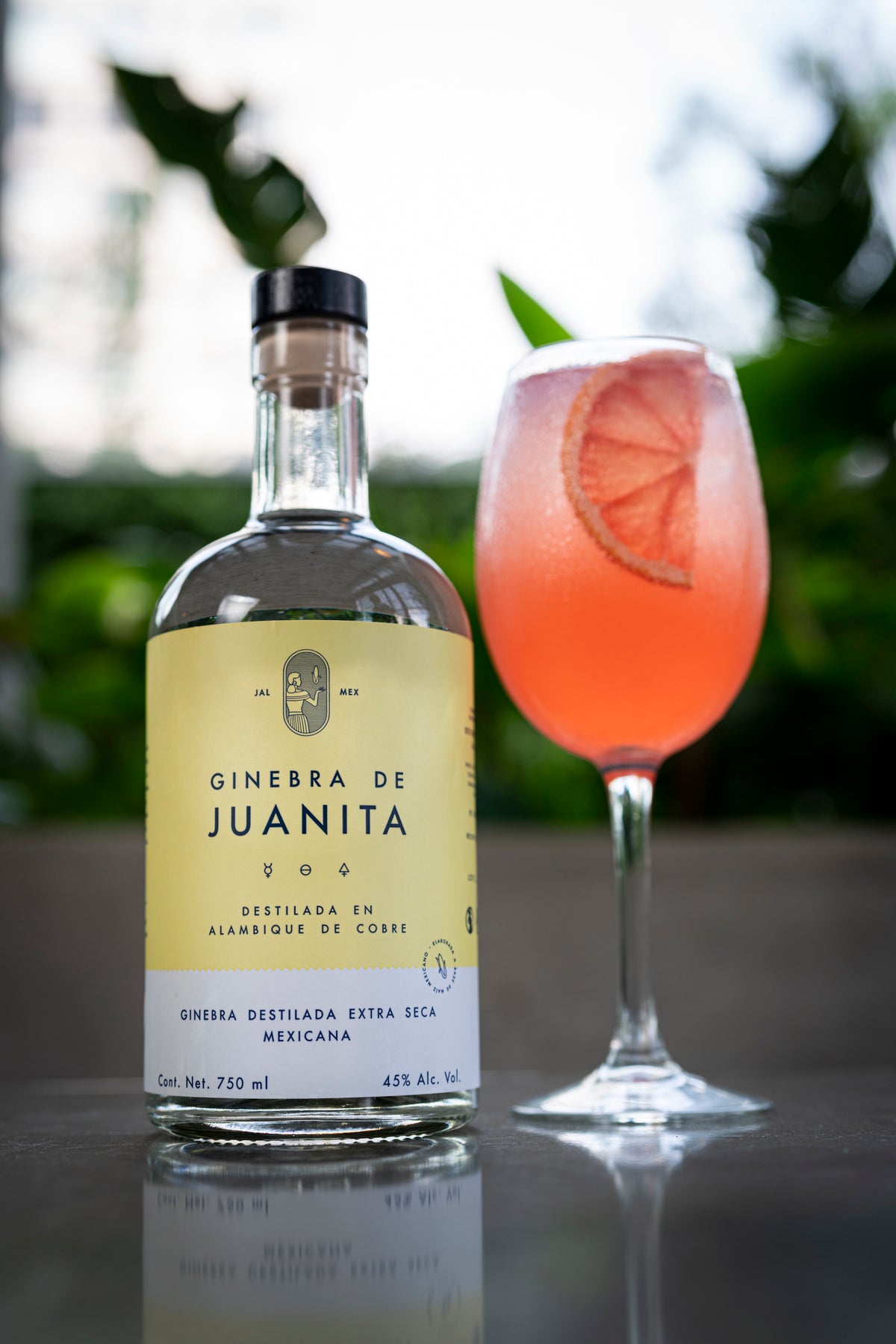 GINEBRA DE JUANITA 750 ML™