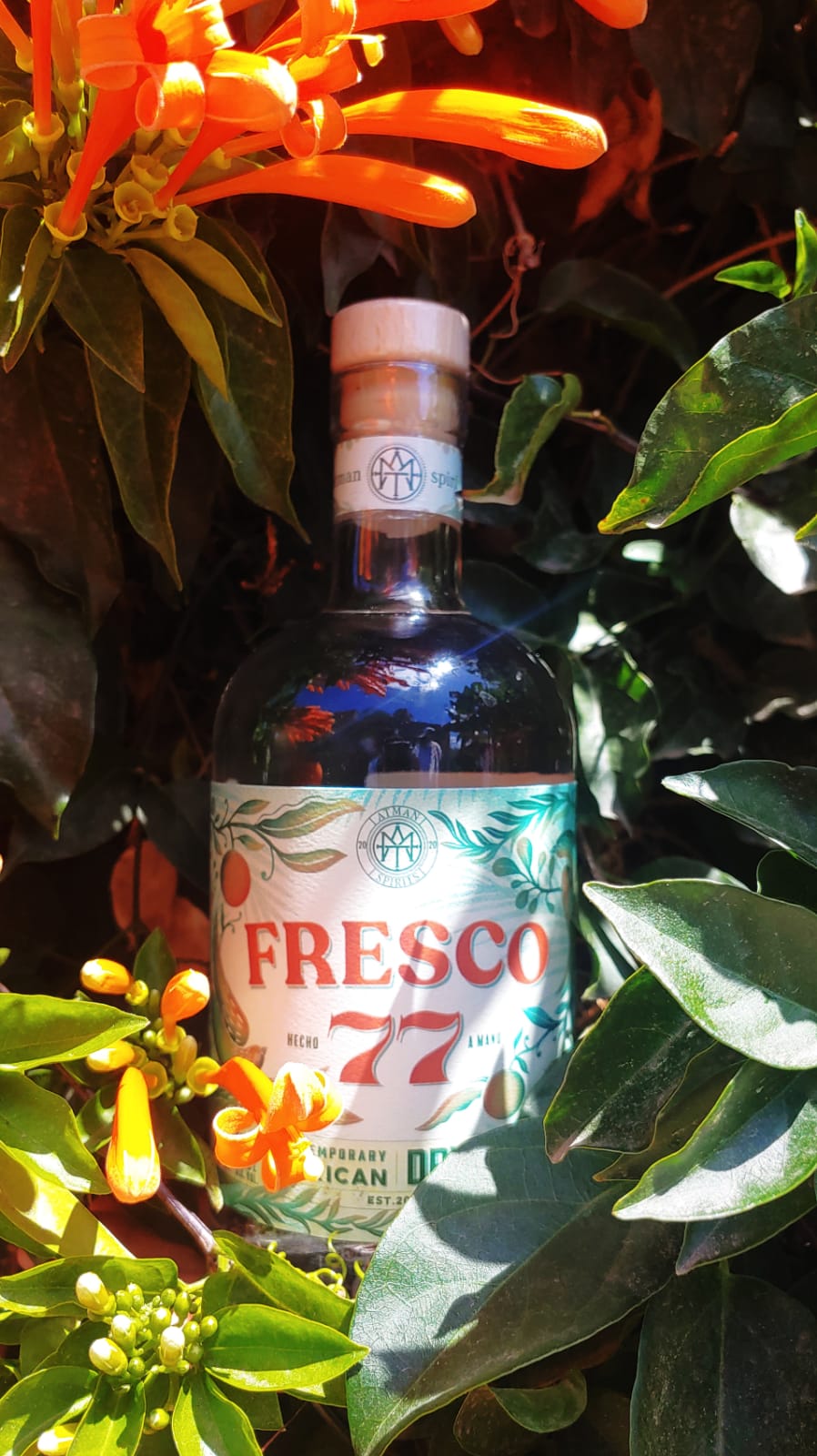 GINEBRA FRESCO 77 750 ML™