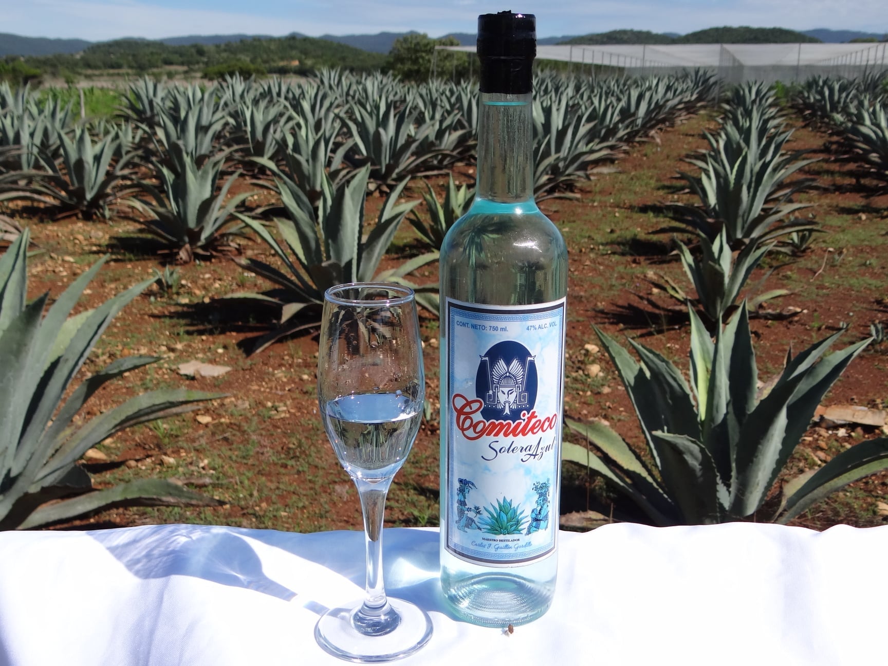 COMITECO SOLERA AZUL INMACULADO BLANCO 750 ML™